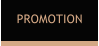 PROMOTION